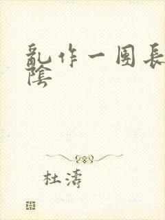 乱作一团长日光阴封面