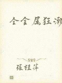 全金属狂潮小说封面