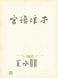 官场浪子
