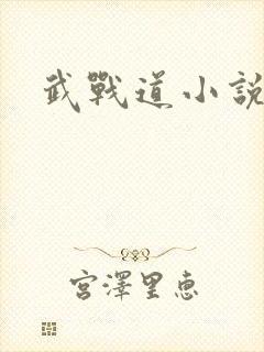 武战道小说