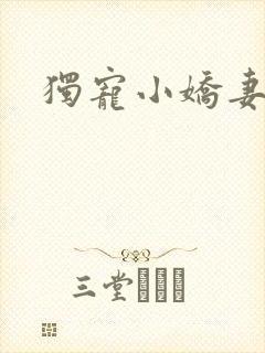独宠小娇妻