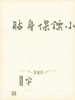 贴身保镖小说