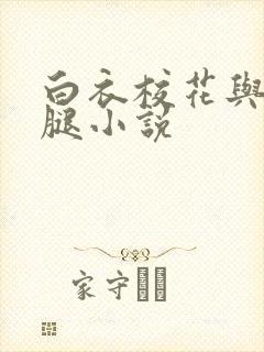 白衣校花与大长腿小说