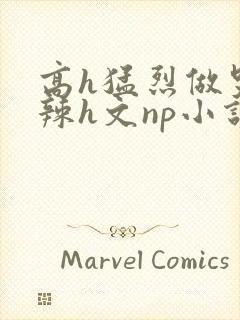 高h猛烈做哭高辣h文np小说封面