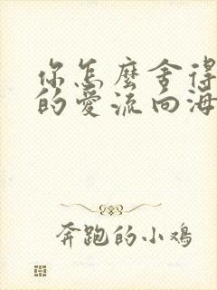 你怎么舍得让我的爱流向海封面