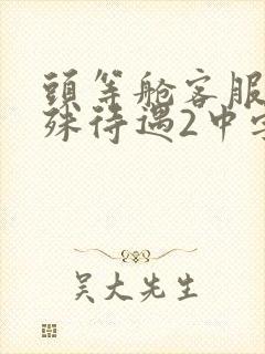 头等舱客服的特殊待遇2中字