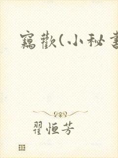 窃欢(小秘书)封面