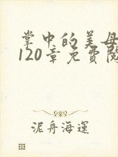 掌中的美母版主120章免费阅读