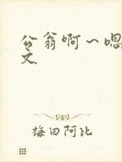 公翁啊～嗯啊h文