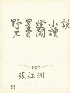 野星灯小说全文免费阅读