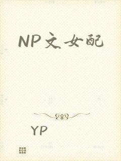 NP文女配封面