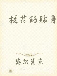 校花的贴身杀手封面