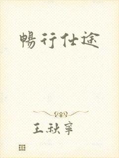 畅行仕途封面
