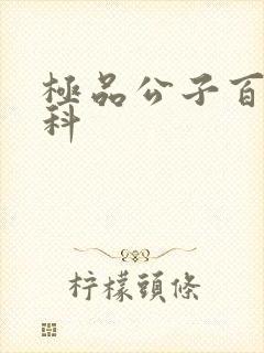 极品公子百度百科