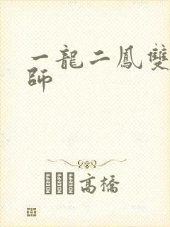 一龙二凤双飞老师