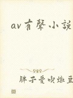 av有声小说封面