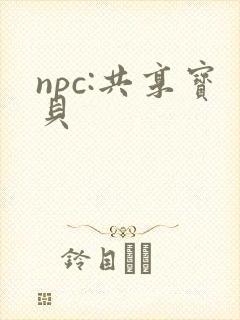 npc:共享宝贝封面