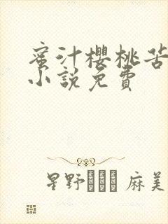 蜜汁樱桃苦咖啡小说免费