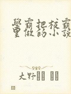 学霸把校霸往死里做的小说