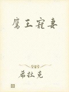 鹰王宠妻