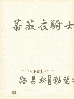 蔷薇夜骑士