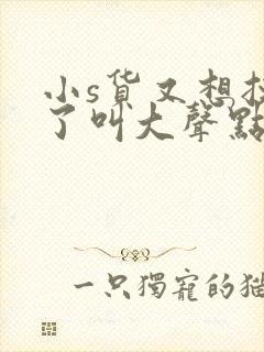 小s货又想挨c了叫大声点