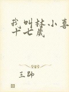 我叫林小喜今年十七岁
