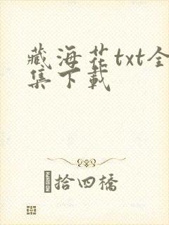 藏海花txt全集下载