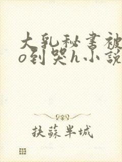 大乳秘书被cao到哭h小说封面