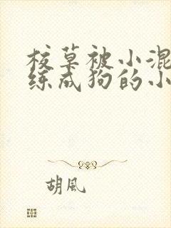 校草被小混混训练成狗的小说