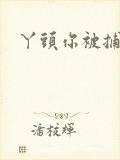 丫头你被捕了封面