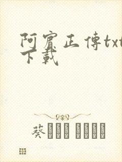 阿宾正传txt下载