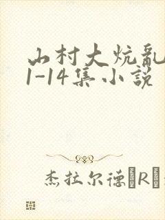 山村大炕乱肉续1-14集小说