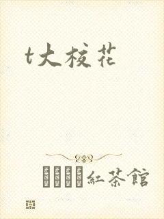 t大校花