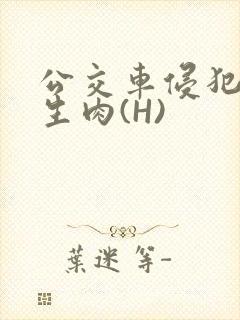 公交车侵犯小男生肉(H)