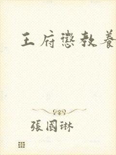 王府惩教养日常