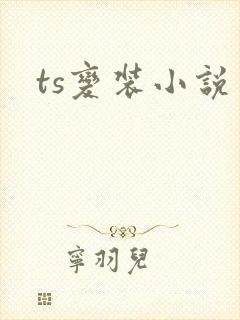ts变装小说封面