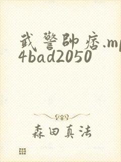 武警帅痞.mp4bad2050封面