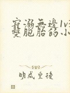 宠溺无边1v3双胞胎的小说