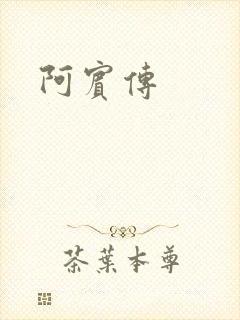 阿宾传