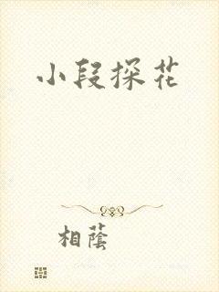 小段探花