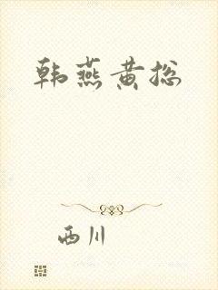 韩燕黄总