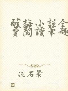 酸梅小说全文免费阅读笔趣阁
