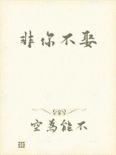 非你不娶