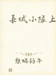 长城小队上中下