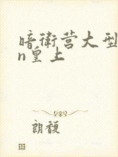 暗卫营大型hpn皇上封面