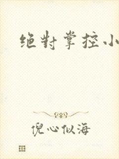 绝对掌控小说