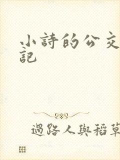 小诗的公交车日记