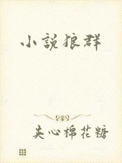 小说狼群