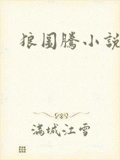 狼图腾小说